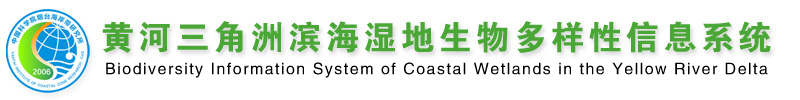 黄河三角洲滨海湿地生物多样性信息系统